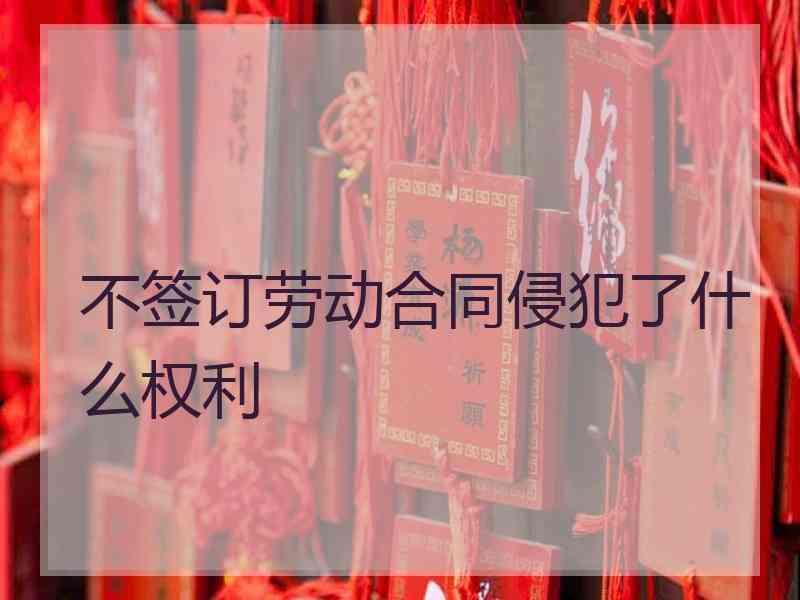 不签订劳动合同侵犯了什么权利