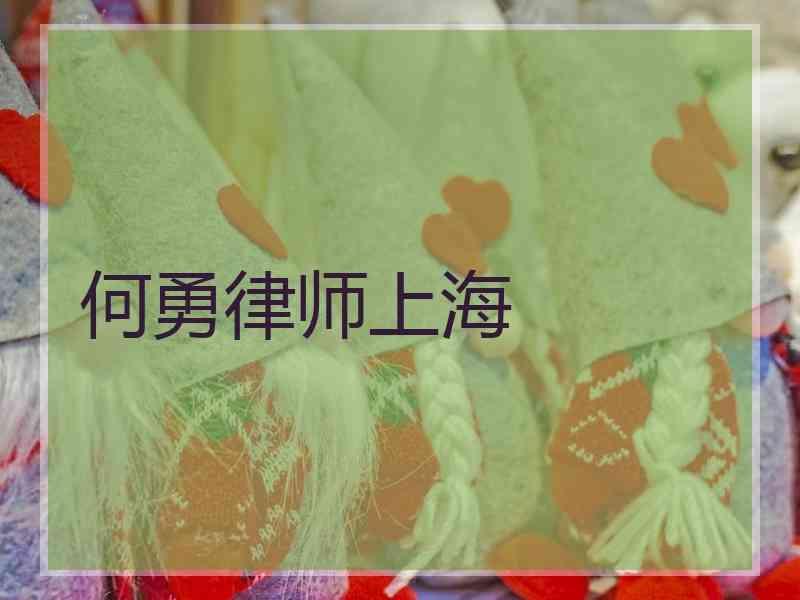 何勇律师上海