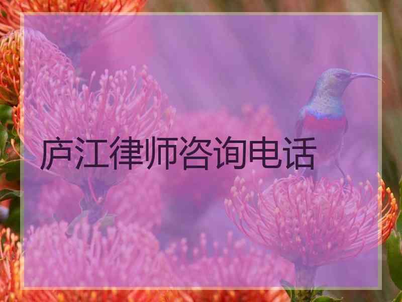 庐江律师咨询电话