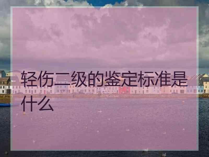 轻伤二级的鉴定标准是什么