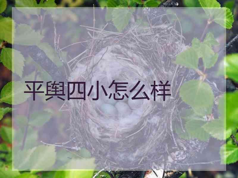 平舆四小怎么样