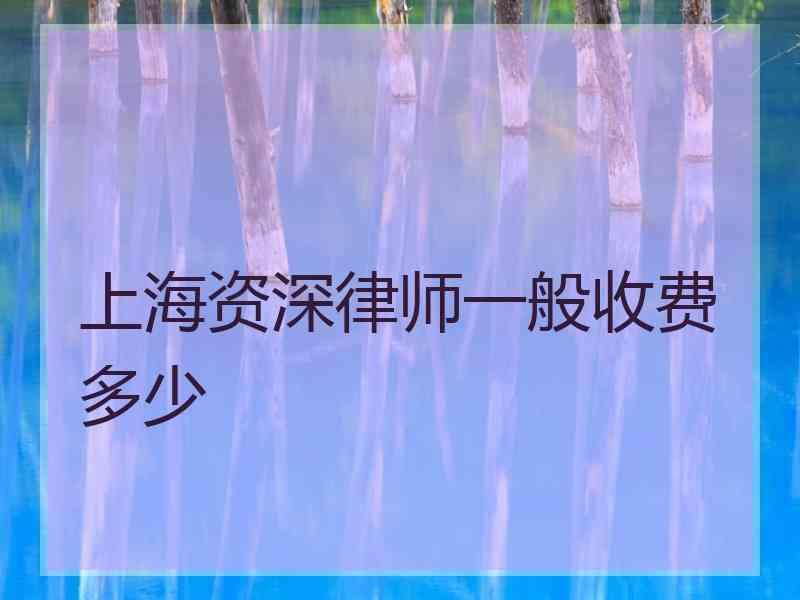 上海资深律师一般收费多少