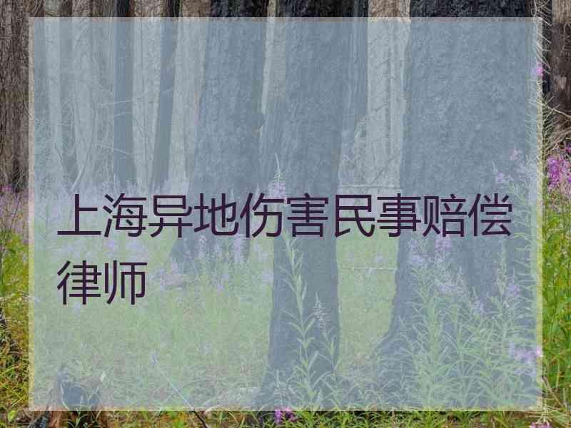 上海异地伤害民事赔偿律师