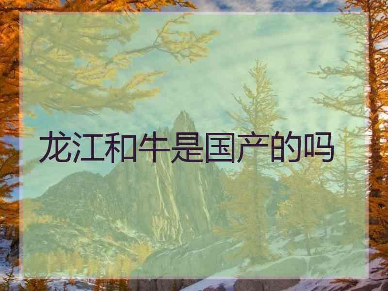 龙江和牛是国产的吗