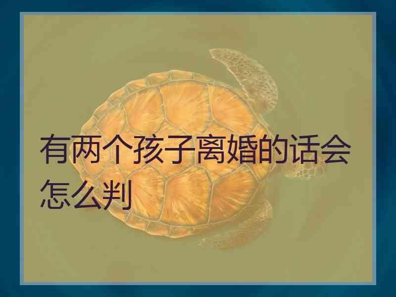 有两个孩子离婚的话会怎么判