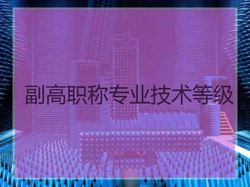 副高职称专业技术等级