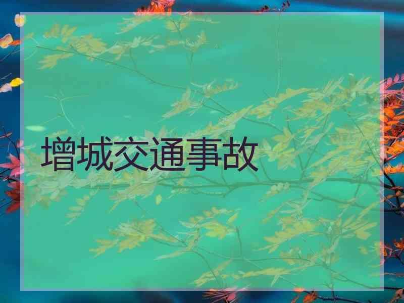 增城交通事故