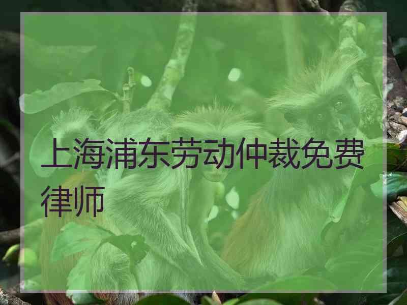 上海浦东劳动仲裁免费律师