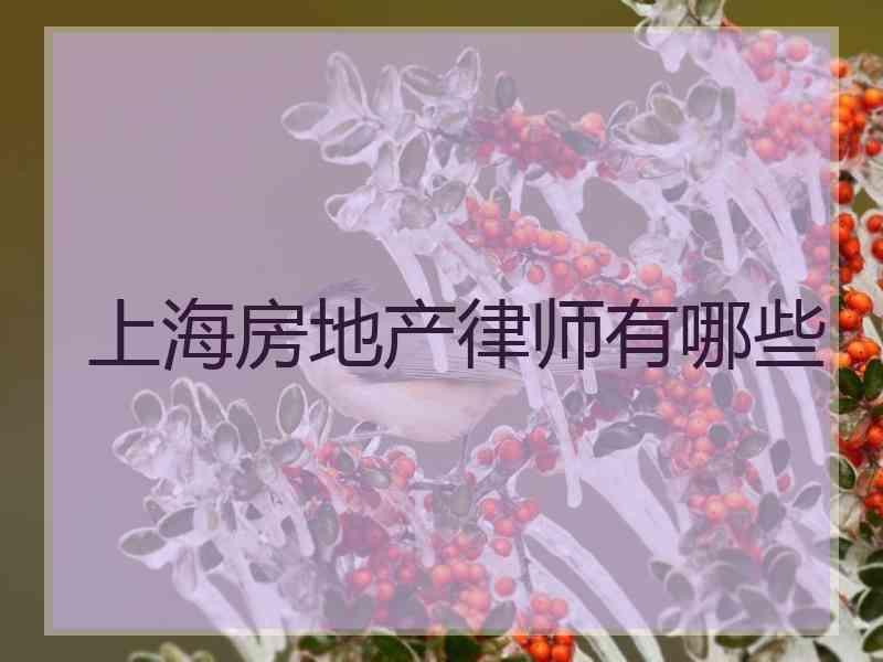 上海房地产律师有哪些