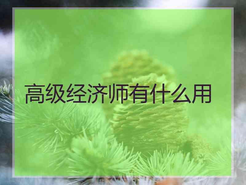 高级经济师有什么用