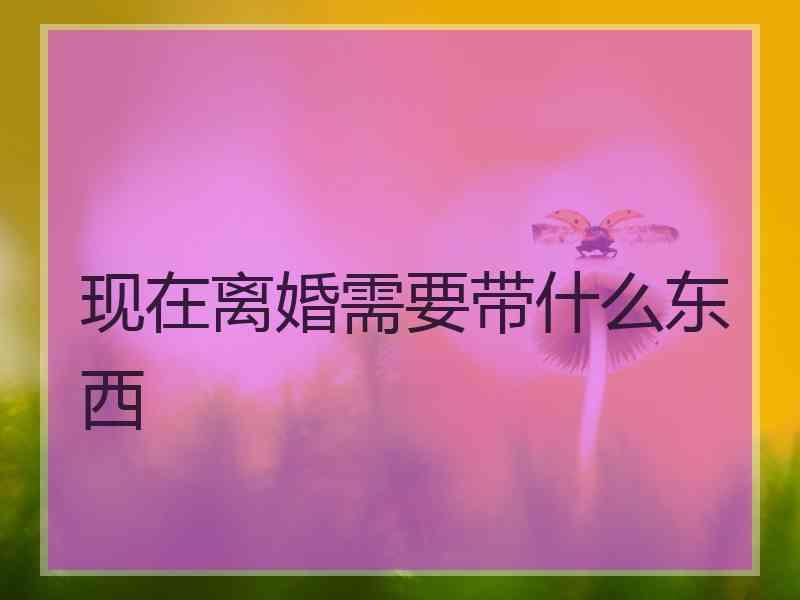 现在离婚需要带什么东西