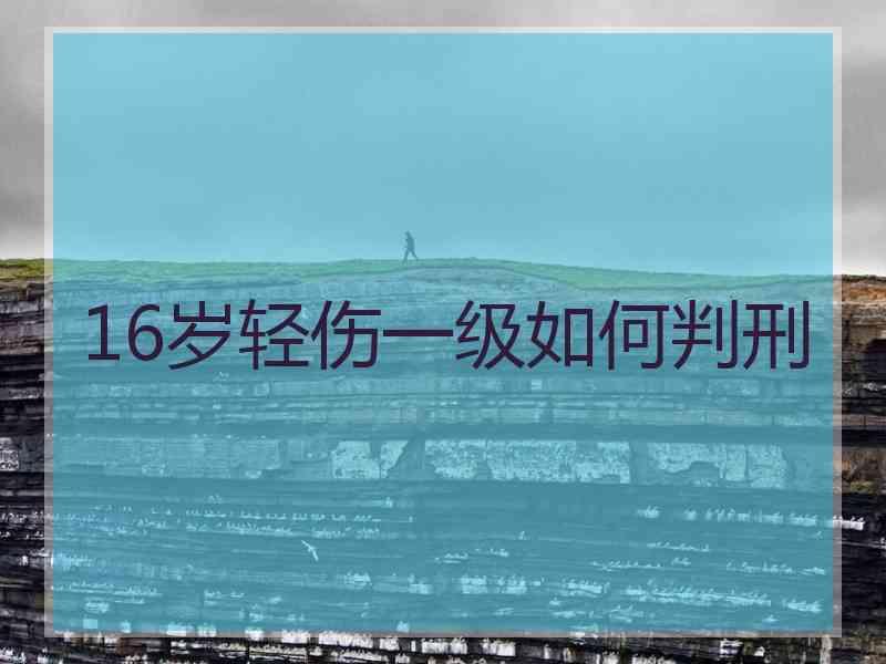 16岁轻伤一级如何判刑