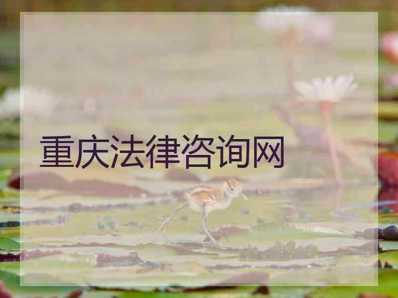 重庆法律咨询网