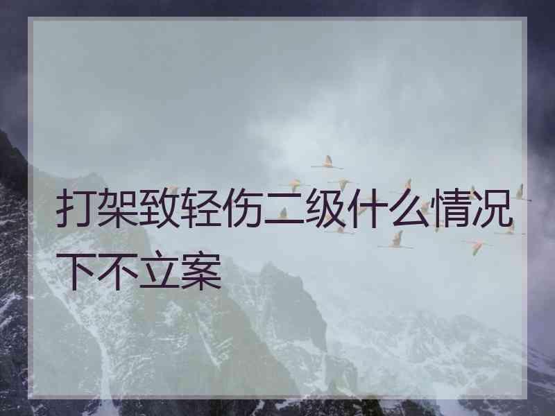 打架致轻伤二级什么情况下不立案