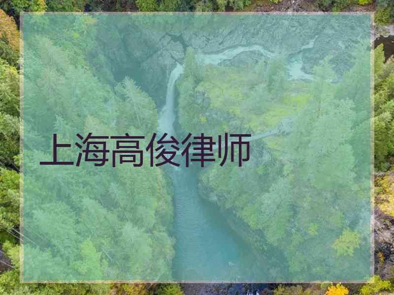 上海高俊律师