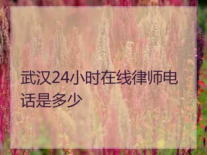 武汉24小时在线律师电话是多少