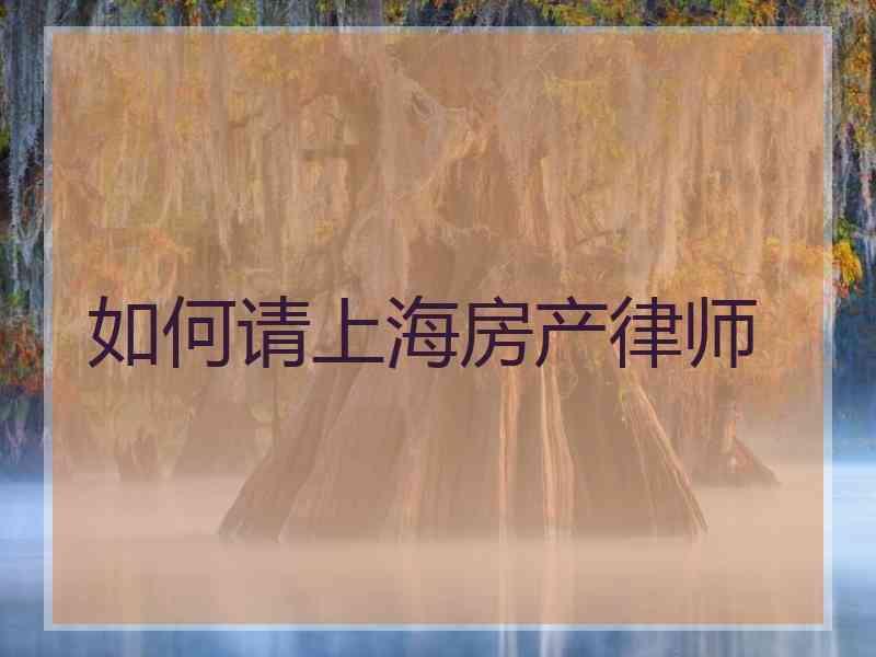 如何请上海房产律师