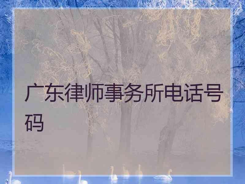 广东律师事务所电话号码