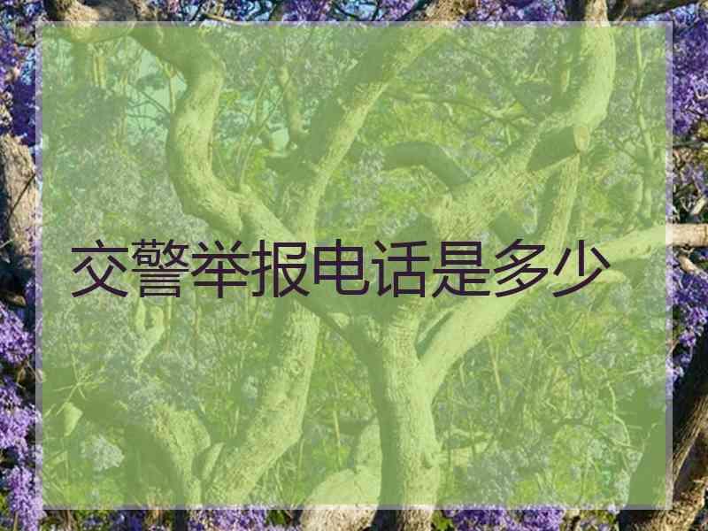 交警举报电话是多少