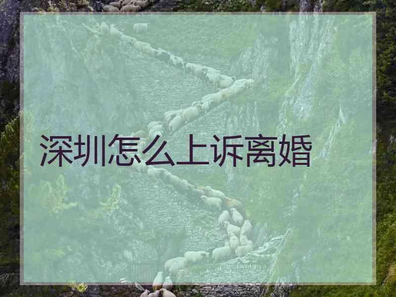 深圳怎么上诉离婚