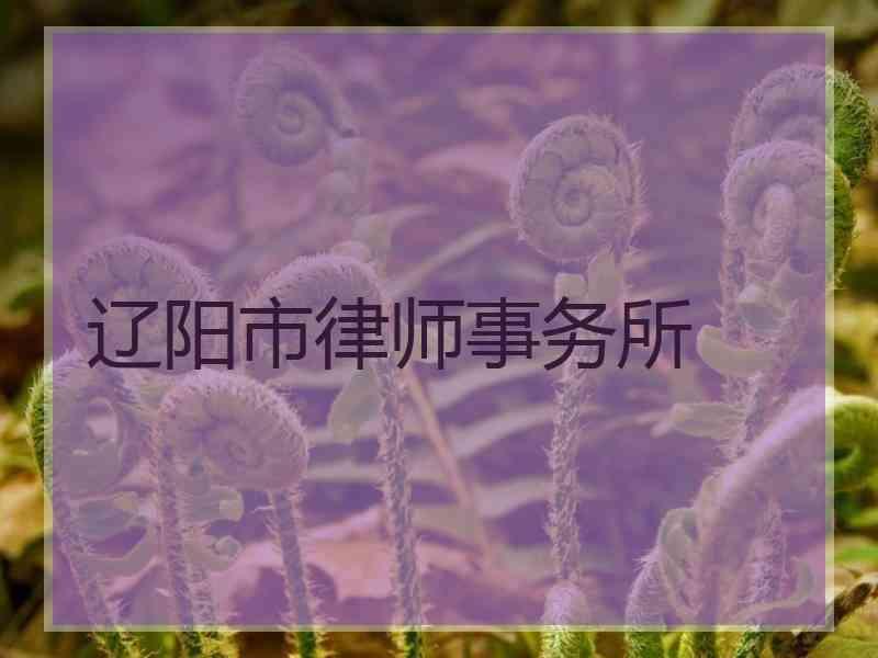 辽阳市律师事务所