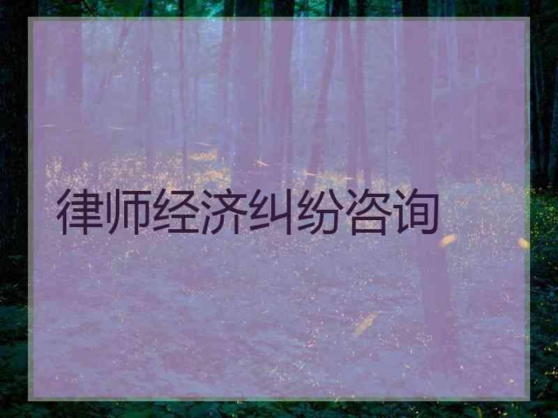 律师经济纠纷咨询