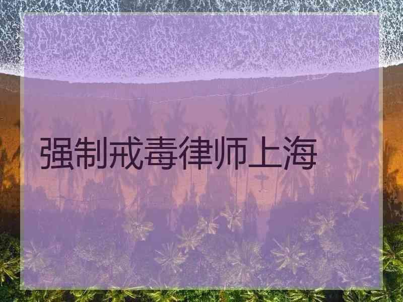 强制戒毒律师上海