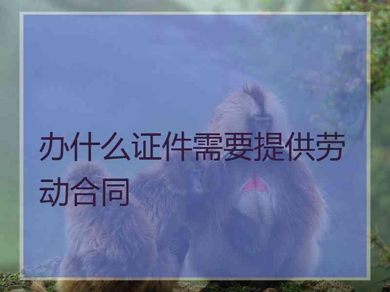 办什么证件需要提供劳动合同