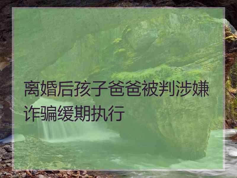 离婚后孩子爸爸被判涉嫌诈骗缓期执行