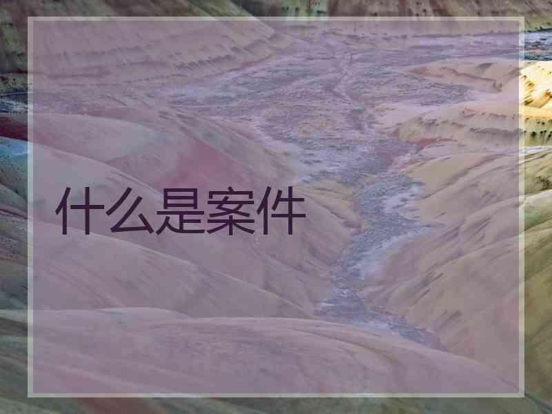 什么是案件