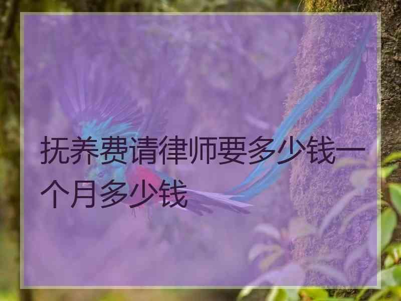 抚养费请律师要多少钱一个月多少钱