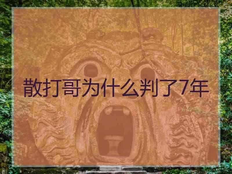 散打哥为什么判了7年