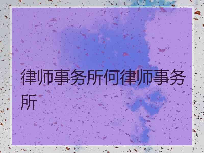 律师事务所何律师事务所