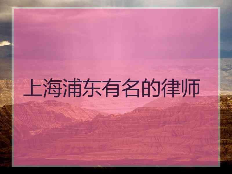 上海浦东有名的律师