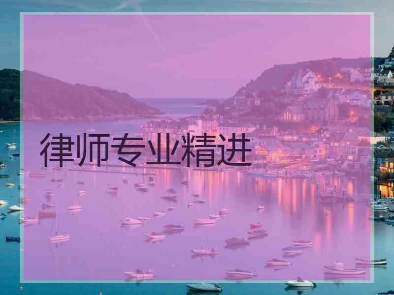 律师专业精进