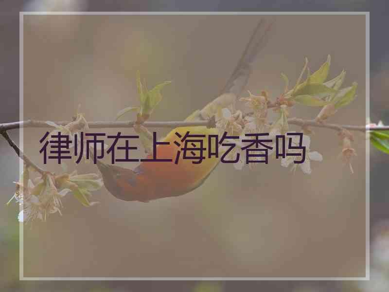 律师在上海吃香吗