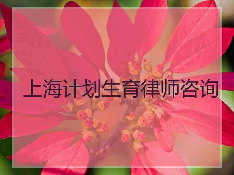 上海计划生育律师咨询