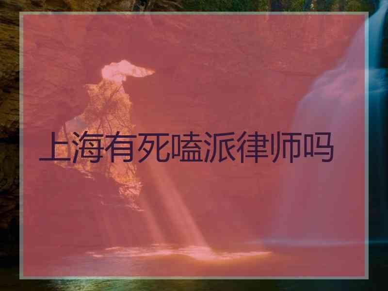 上海有死嗑派律师吗