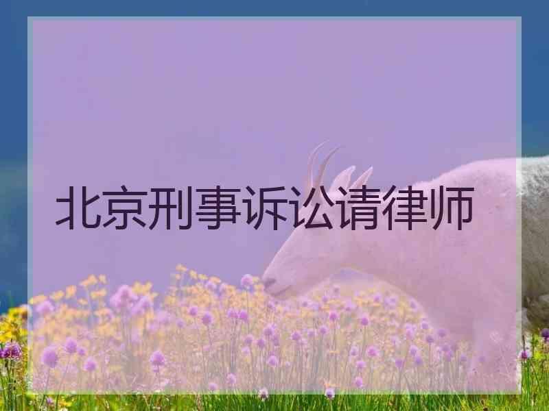 北京刑事诉讼请律师