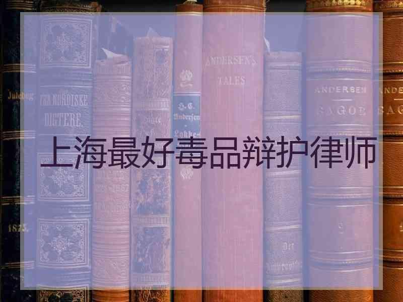 上海最好毒品辩护律师