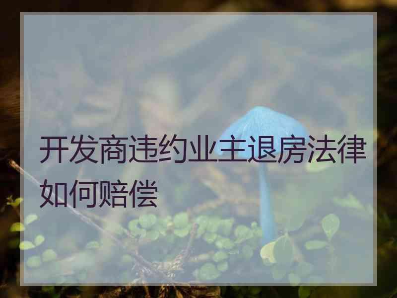 开发商违约业主退房法律如何赔偿