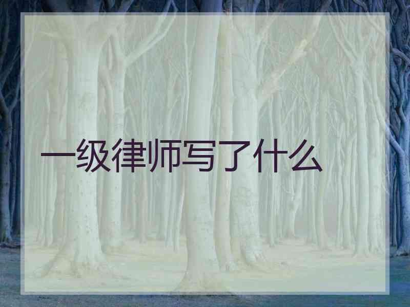 一级律师写了什么