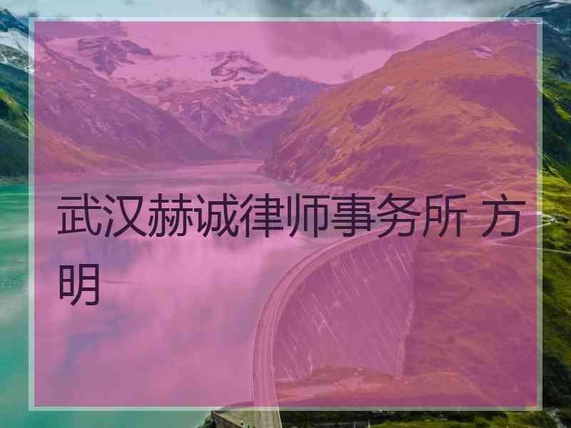 武汉赫诚律师事务所 方明