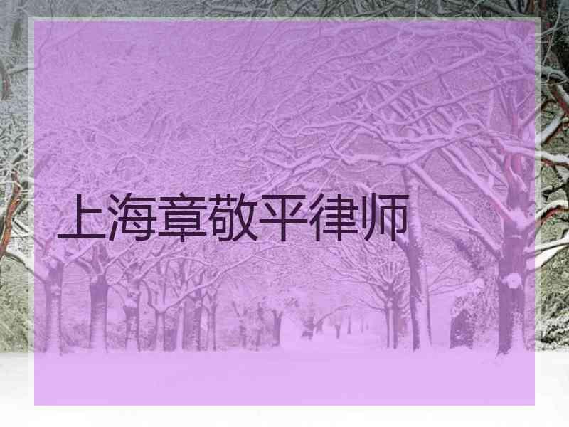 上海章敬平律师