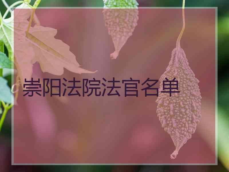 崇阳法院法官名单