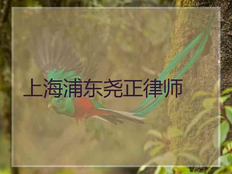 上海浦东尧正律师