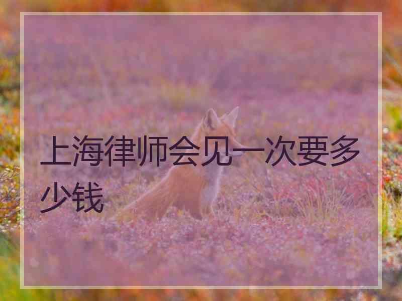 上海律师会见一次要多少钱