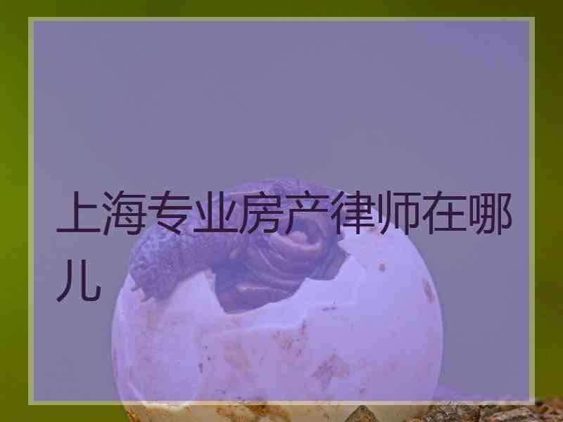 上海专业房产律师在哪儿