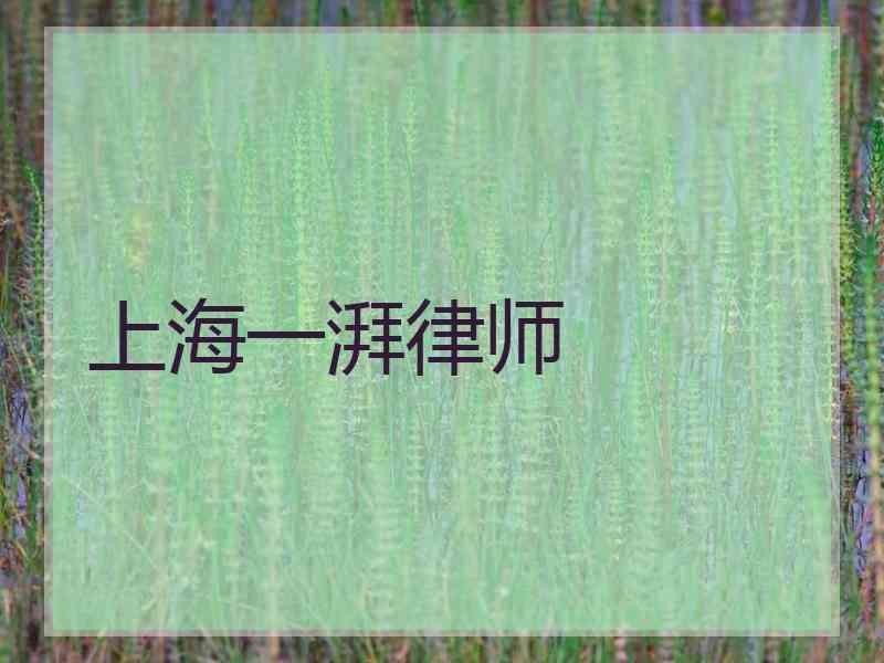 上海一湃律师