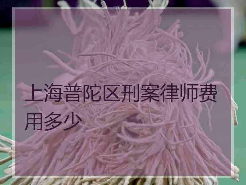 上海普陀区刑案律师费用多少
